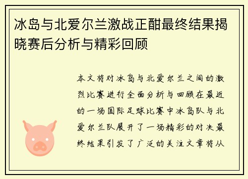 冰岛与北爱尔兰激战正酣最终结果揭晓赛后分析与精彩回顾