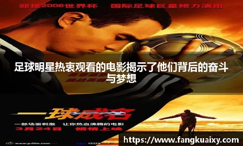 球速体育平台登录入口